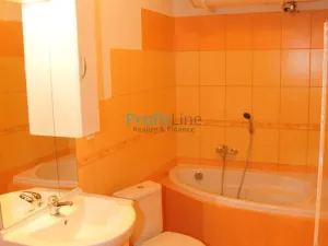 Pronájem bytu 1+1, Sudkov, 40 m2