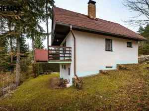 Prodej chaty, Podolí I - Podolsko, 90 m2