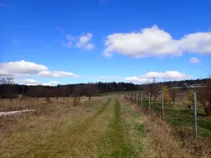 Pronájem komerčního pozemku, Velká Chmelištná, 10000 m2