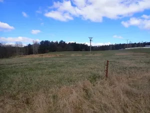 Pronájem komerčního pozemku, Velká Chmelištná, 10000 m2