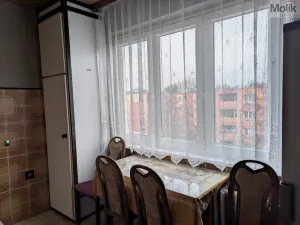 Prodej bytu 2+1, Bílina - Teplické Předměstí, M. Švabinského, 55 m2