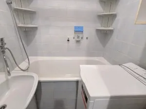 Prodej bytu 2+1, Bílina - Teplické Předměstí, M. Švabinského, 55 m2