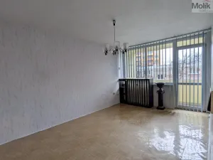 Prodej bytu 2+1, Bílina - Teplické Předměstí, M. Švabinského, 55 m2