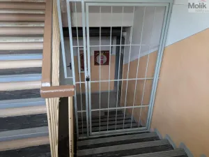 Prodej bytu 2+1, Bílina - Teplické Předměstí, M. Švabinského, 55 m2