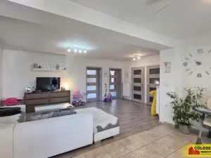 Prodej rodinného domu, Velké Bílovice, 365 m2