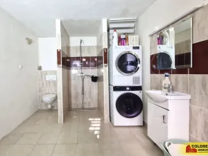 Prodej rodinného domu, Velké Bílovice, 365 m2