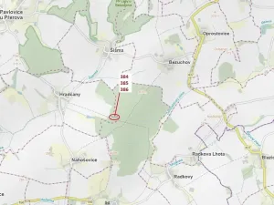 Dražba lesa, Hradčany-Kobeřice, 3483 m2