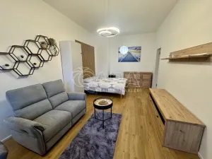 Pronájem bytu 1+kk, Praha - Žižkov, Malešická, 42 m2