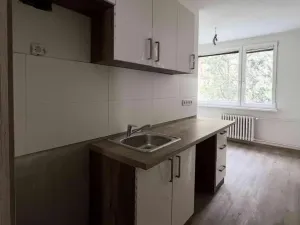 Pronájem bytu 1+1, Jirkov, Generála Svobody, 42 m2