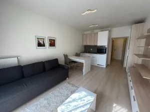 Pronájem bytu 1+kk, Praha - Vršovice, Petrohradská, 30 m2