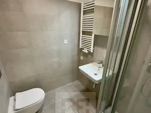 Pronájem bytu 1+kk, Tuchoměřice, V Kněžívce, 22 m2