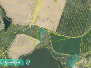 Prodej podílu 1/8 louky, Tučapy, 11561 m2