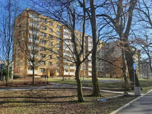 Prodej bytu 1+1, Český Těšín, Hornická, 39 m2