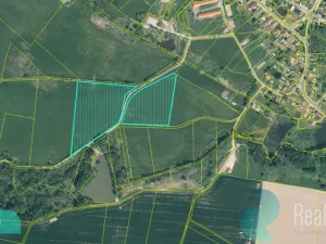 Prodej podílu 1/4 louky, Drmoul, 12559 m2