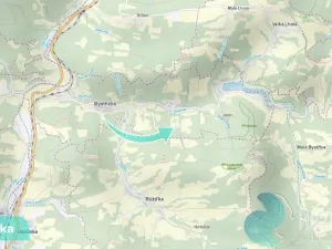 Prodej podílu 4/10 lesa, Bystřička, 16784 m2