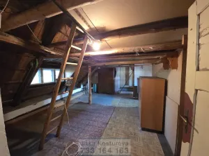 Prodej chalupy, Býkov-Láryšov - Láryšov, 200 m2