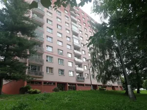 Pronájem bytu 1+kk, Liberec, Rychtářská, 19 m2