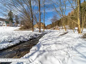 Prodej bytu 1+kk, Žacléř - Prkenný Důl, 37 m2