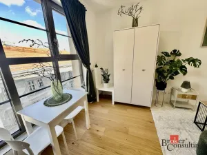 Pronájem bytu 1+kk, Brno - Zábrdovice, Bratislavská, 24 m2
