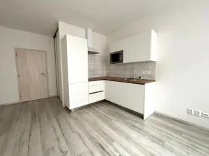 Pronájem bytu 1+kk, Plzeň - Východní Předměstí, Papírnická, 29 m2