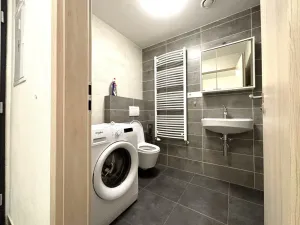 Pronájem bytu 1+kk, Plzeň - Východní Předměstí, Papírnická, 29 m2