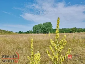 Pronájem bytu 3+1, Mladá Boleslav - Mladá Boleslav II, Na Radouči, 78 m2