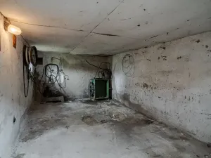 Prodej rodinného domu, Skořenice, 375 m2