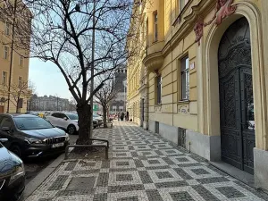 Pronájem bytu 2+kk, Praha - Vinohrady, Přemyslovská, 50 m2