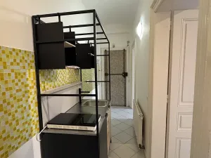 Pronájem bytu 2+kk, Praha - Vinohrady, Přemyslovská, 50 m2