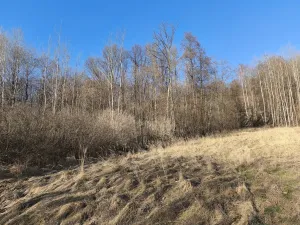 Prodej louky, Vápenná, 2625 m2