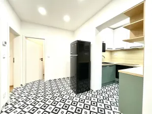 Pronájem bytu 2+1, Praha - Žižkov, Žerotínova, 50 m2