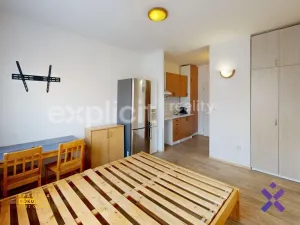 Pronájem bytu 1+kk, Zlín, M. Knesla, 20 m2