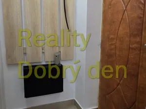 Pronájem bytu 1+1, Opava, Mánesova, 42 m2