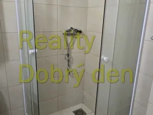 Pronájem bytu 1+1, Opava, Mánesova, 42 m2