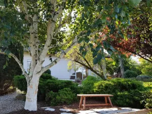 Pronájem rodinného domu, Popovičky, Na Skalce, 242 m2