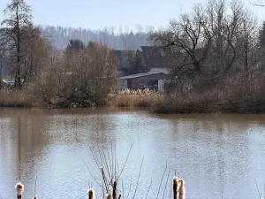 Prodej pozemku pro bydlení, Velká Bukovina, 997 m2