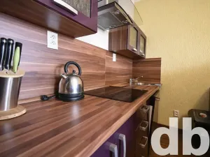 Pronájem bytu 2+kk, Karlovy Vary, náměstí Republiky, 55 m2