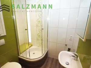 Pronájem bytu 3+kk, Plzeň, Rokycanská, 54 m2