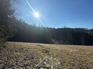 Prodej louky, Bozkov, 14441 m2