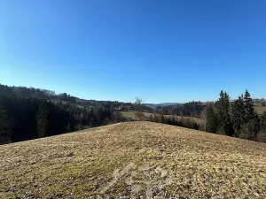 Prodej louky, Bozkov, 14441 m2