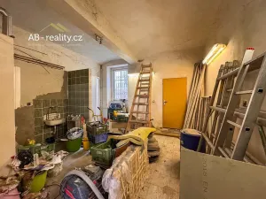 Prodej rodinného domu, Teplice, Thámova, 215 m2