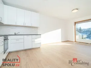 Pronájem bytu 1+kk, Slaný, Lázeňská, 35 m2