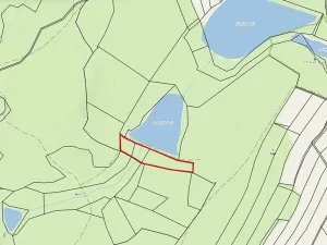 Prodej lesa, Nová Olešná, 9963 m2