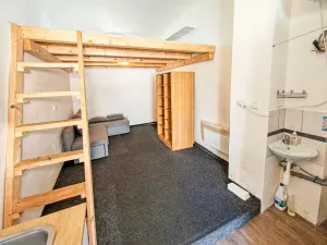 Pronájem atypického bytu, Pardubice, Jana Palacha, 19 m2