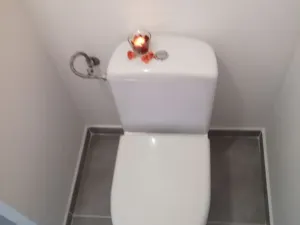 Pronájem bytu 2+1, Ostrava - Dubina, Václava Košaře, 44 m2