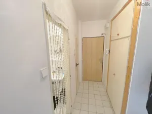 Prodej bytu 2+1, Louny, Tyršovo nám., 52 m2