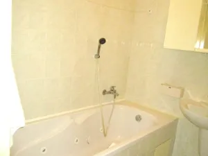 Prodej bytu 5+1, Plzeň - Východní Předměstí, 160 m2