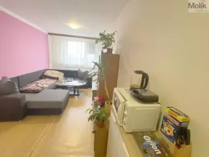 Prodej bytu 2+kk, Litvínov - Janov, Hamerská, 39 m2