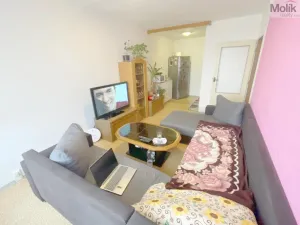 Prodej bytu 2+kk, Litvínov - Janov, Hamerská, 39 m2