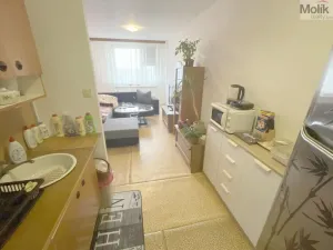 Prodej bytu 2+kk, Litvínov - Janov, Hamerská, 39 m2